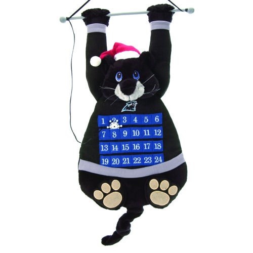 Carolina Panthers Advent Calendar