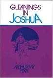 Gleanings in Joshua