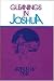 Book Gleanings in Joshua