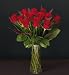 (00656030) Autograph&trade; Dozen FreedomÂ® Roses in Miscellaneous