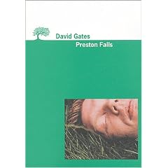 Preston Falls