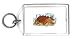 Keychain with alligator, turtle, snapping, reptile, temminckii, macroclemys