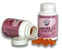 Seabuckthorn Seed Oil 500mg 60 Softgels