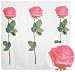 [DULTON]ダルトン シャワーカーテン リング付きSHOWER CURTAIN ROSE HOUSE DDD-20R