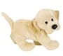 WEBKINZ - Yellow Lab