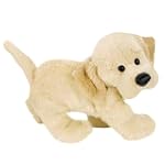 WEBKINZ 