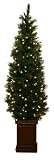 Good Tidings Prelit Artificial Slim Alaska Pine Christmas Tree 4 Feet Tall in a Brown Pot with 100 Clear Lights