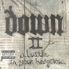 Down II - A Bustle In Your Hedgerow...