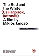 The Red And The White - Csillagosok, Katonak [1967] [DVD]