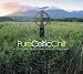 Search : Pure Celtic Chill