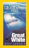 Review National Geographic Video - Great White  / National Geographic Video - Great White - Deep Trouble