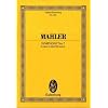 Sinfonie Nr. 7 e-Moll: Orchester. Studienpartitur. (Eulenburg Studienpartituren)