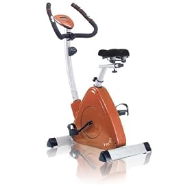 Omega Fitness Triangular D 7 Magnetic Upright Bike