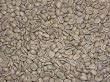Peru Fair Trade Organic Green Coffee Beans - 5lbs