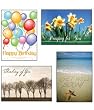 Scripture Greeting Cards-KJV-Boxed-All Occasion - "From the Heart"
