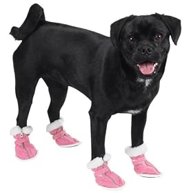 dog boots