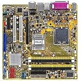 Review Asus P5B-VM / Asus P5B-VM Socket 775 MicroATX Motherboard