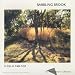 A Day on Cape Cod: Babbling Brook