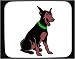 Decorated Mouse Pad with dog, doberman, collar