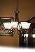 Kenroy Home 90086ORB Wright 6-Light Oil-Rubbed Bronze Chandelier with Scavo-Glass Shades