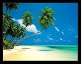 Maldives Palm Trees (Overhanging the Shallows) Framed Art Poster Print - 16