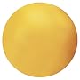 Gill Athletics 8 lb Hardshell Indoor Shot
