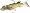 Pike