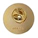 Registered Nurse RN Medical Lapel Pin