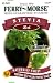 Ferry-Morse 2161 Stevia Herb Seeds (10 Milligram Packet)