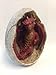 PTC 4.75 Inch Red Dragon Hatchling in Egg Casing Statue Figurine