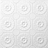 R 136 Styrofoam Direct Glue Up Ceiling Tile (20x20)