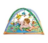 Tiny Love Gymini Melody Maker
