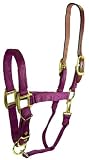 Hamilton 1-Inch Nylon Adjustable Horse Halter with Leather headpoll and Throat Snap, Small Size (500 - 800 Pounds.), Wine