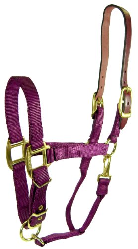 Hamilton 1-Inch Nylon Adjustable Horse Halter with Leather headpoll and Throat Snap, Small Size (500 - 800 Pounds.), Wine
