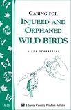 Workman Publishing Helping Orphaned or Injured Birds