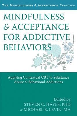[(Mindfulness and Acceptance for Addictive Behaviors: Applying Contextual CBT to Substance Abuse and Behavioral Addictions)] [Author: Steven C. Hayes] published on (January, 2013)