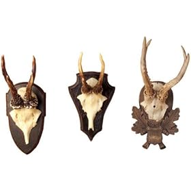 The Hunt Club Antler Trophy Reproductions - Set Of 3, SET OF 3, NATURAL WHITE