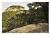 View of the Pinnacle of Pilot Mountain from the Sassafras Trail, North Carolina Photographic Poster Print by Raymond Gehman, 32x24