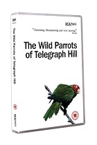 The Wild Parrots Of Telegraph Hill [2003] [DVD]