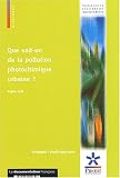 Que sait-on de la pollution photochimique urbaine?