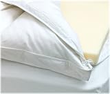 Sealy Posturepedic Accustom Royale Memory Foam and Goose Down Pillow