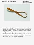 Findings on Elasticity