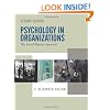 Psychology in Organizations: The Social Identity Approach
