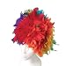 Multi Colored Feather Wigs