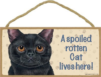 “A Spoiled Rotten Cat Lives Here” Wooden Sign – Black Cat