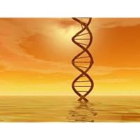 Dna Landscape - 30'W x 23'H - Peel and Stick Wall Decal by Wallmonkeys