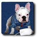 Dogs Bulldog - French Bulldog Puppy - Mouse Pads