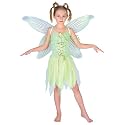 Neverland Fairy Princess Girls Fancy Dress Costume 5-7