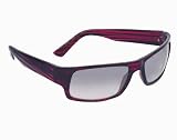 Anarchy Red Stripe El Presidente Sunglasses w Smoke Gradient Lens by