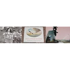 Scenes of Wonder, Curiosity